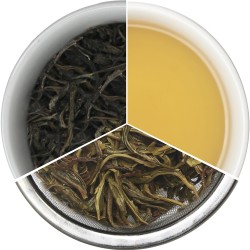 Esta Organic Loose Leaf Artisan Green Tea - 3.5oz/100g